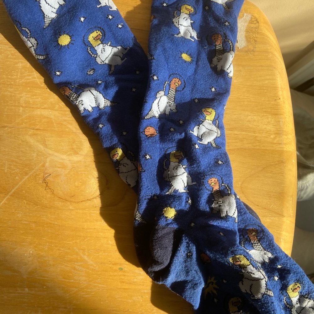 Dinosaurs in space socks